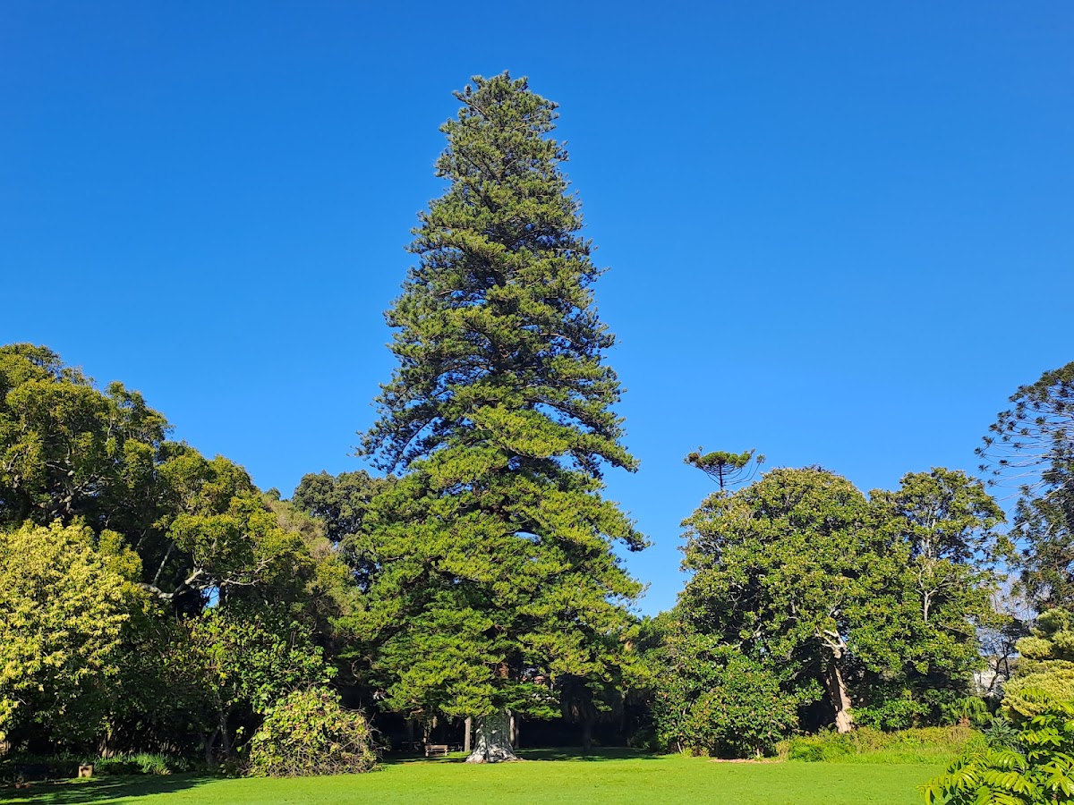 Arderne Gardens — photo 3