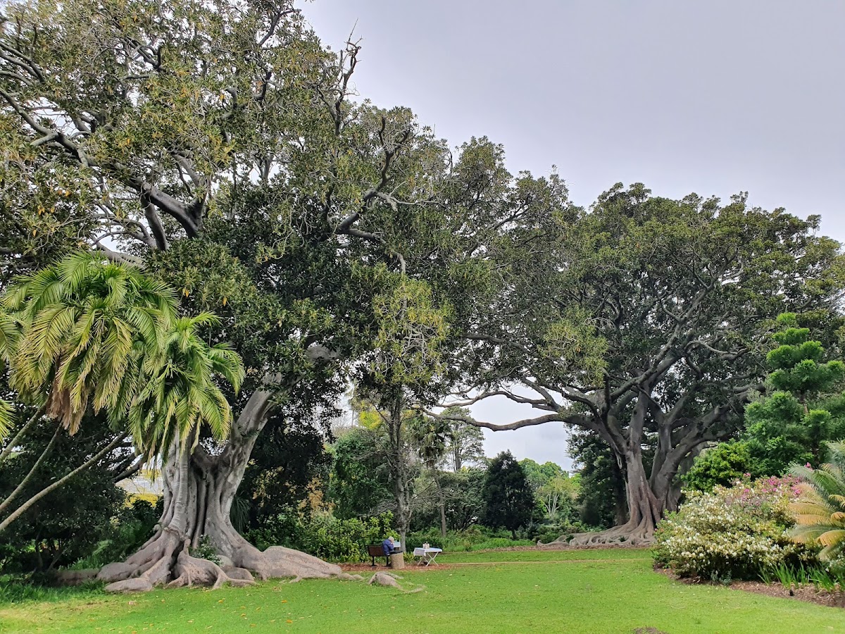 Arderne Gardens — photo 4