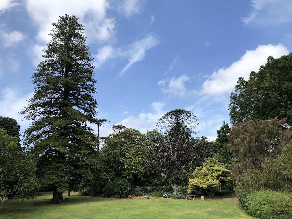 Arderne Gardens — photo 5