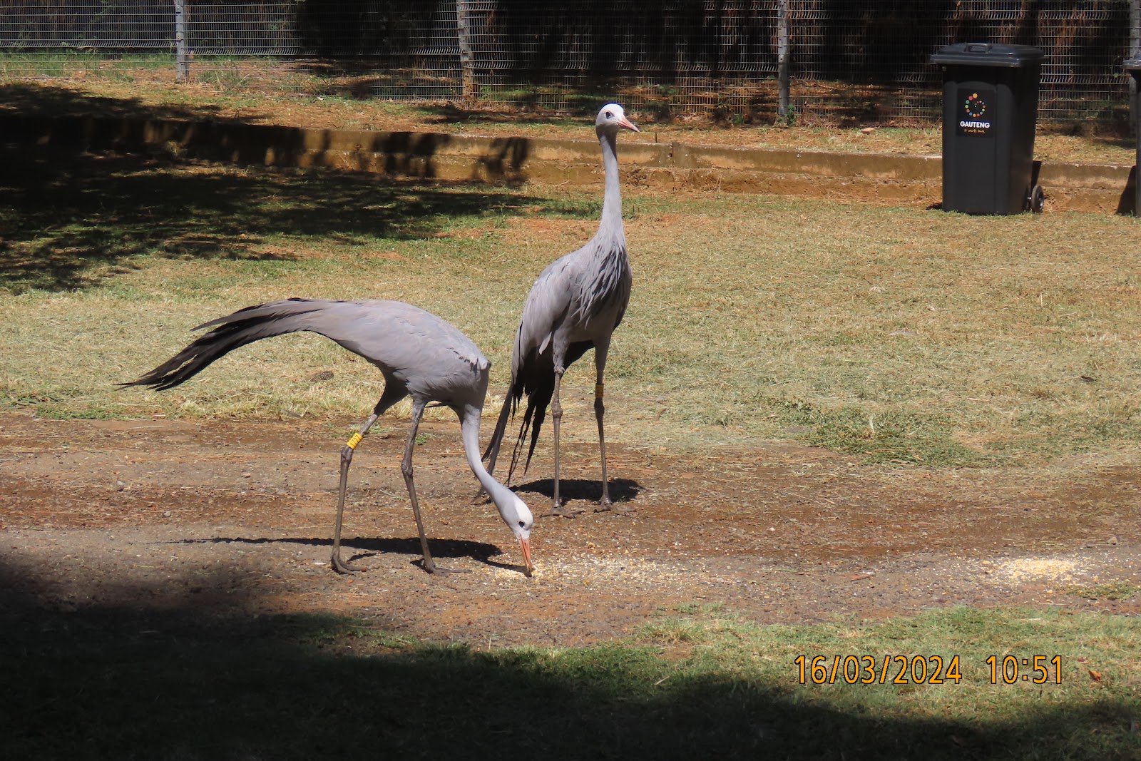 Austin Roberts Bird Sanctuary — photo 3