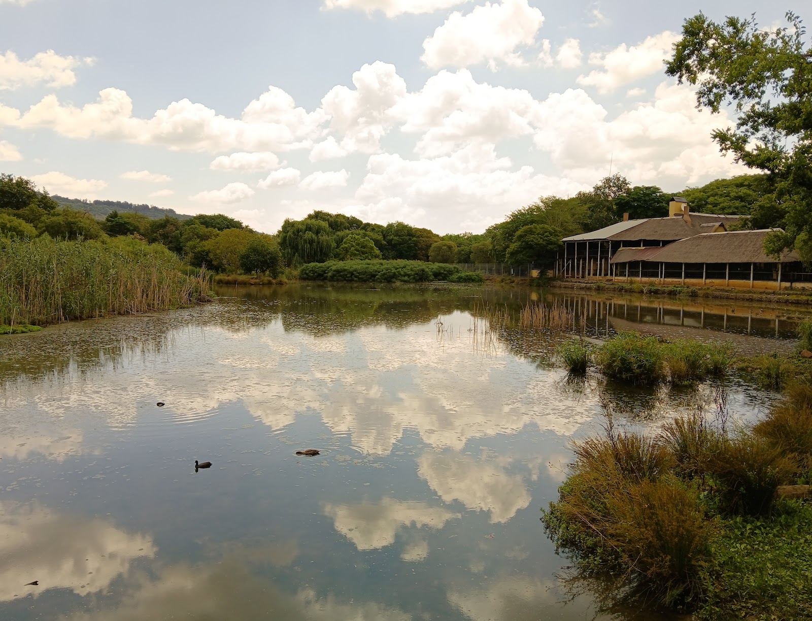 Austin Roberts Bird Sanctuary — photo 5