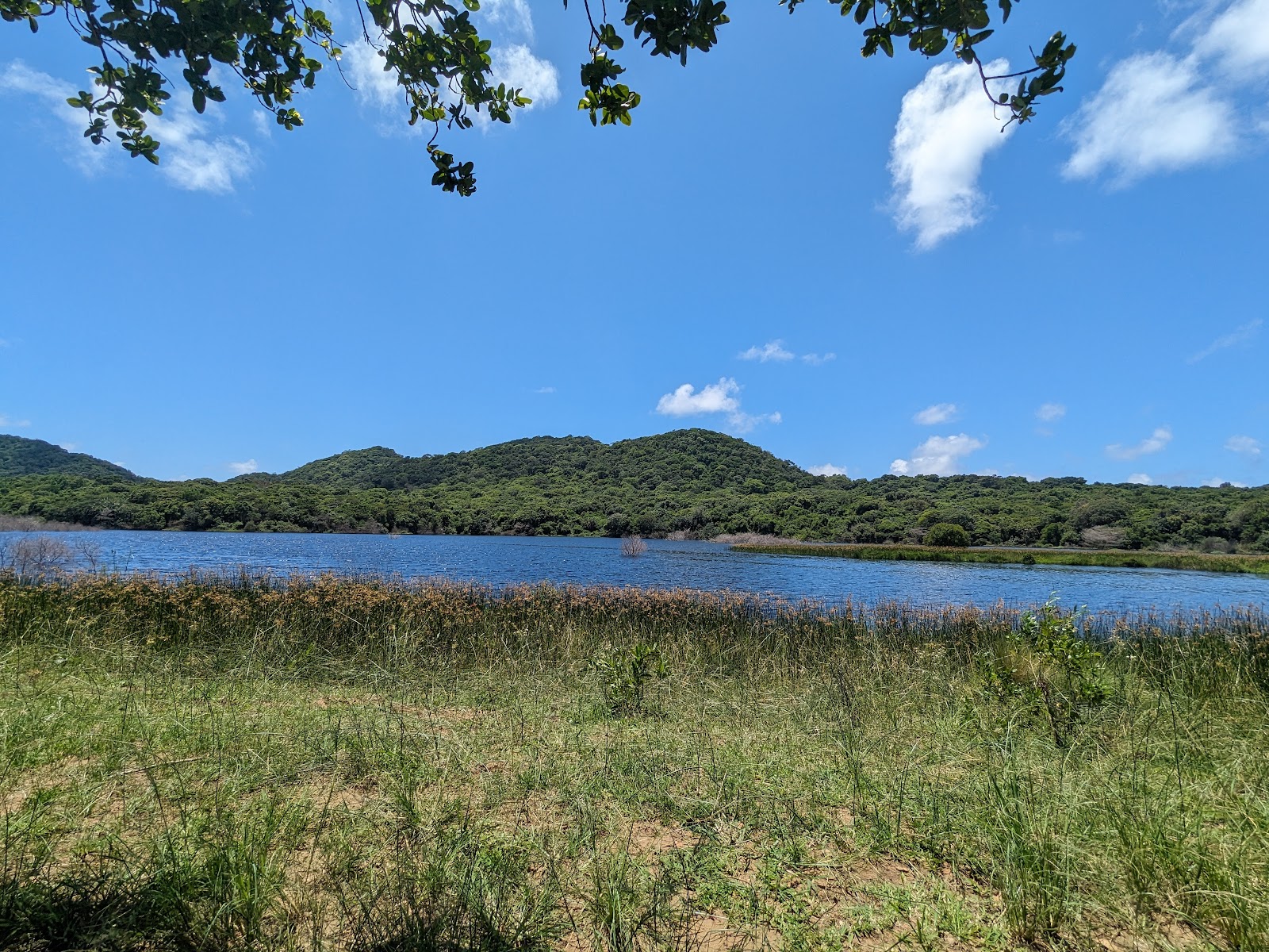 iSimangaliso Wetland Park