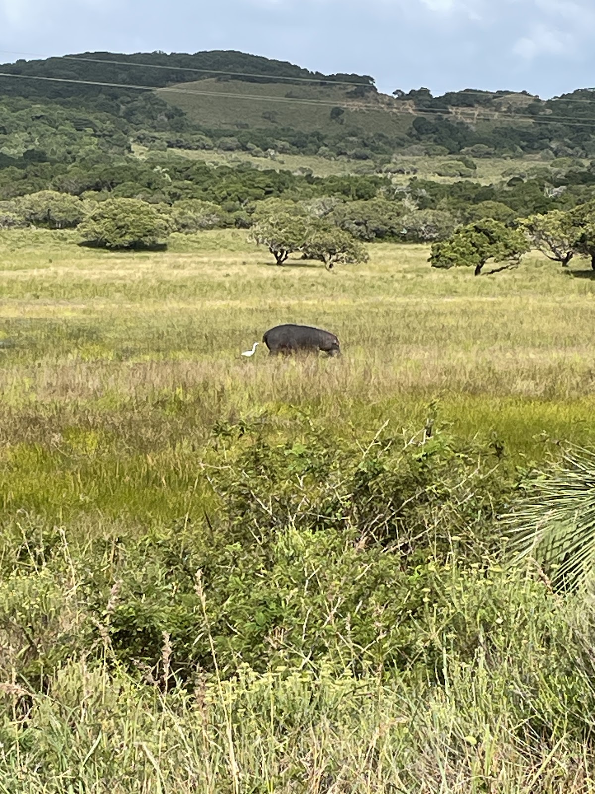 iSimangaliso Wetland Park — photo 3