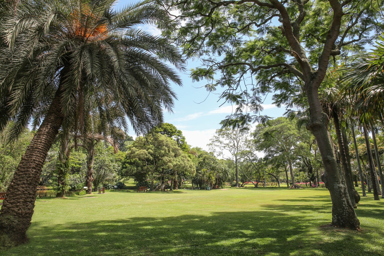 Durban Botanic Gardens — photo 3