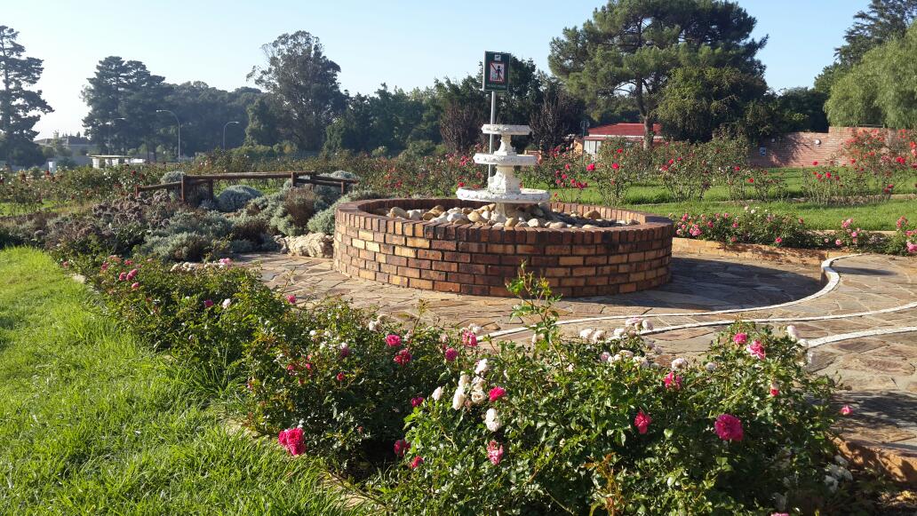 Durbanville Rose Garden — photo 2