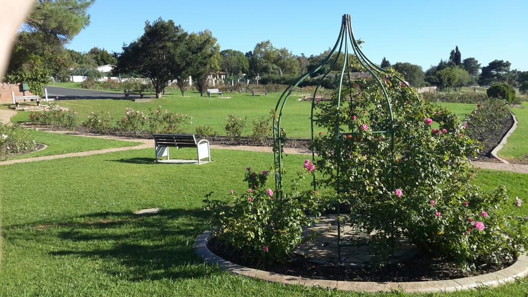 Durbanville Rose Garden — photo 4