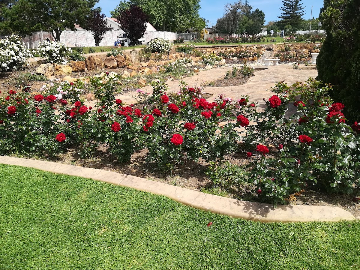 Durbanville Rose Garden — photo 5