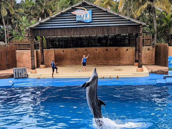 Ushaka Sea World — photo 3