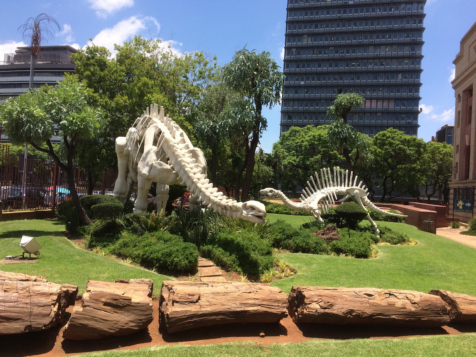 Ditsong National Museum of Natural History — photo 4