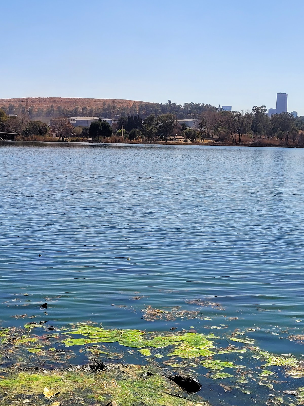Wemmer Pan Recreational Area — photo 2