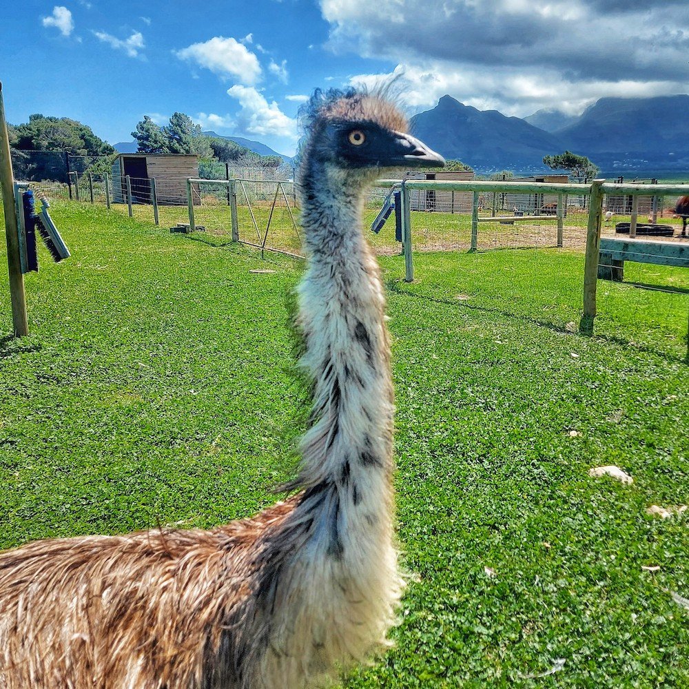 Imhoff Farm — photo 4