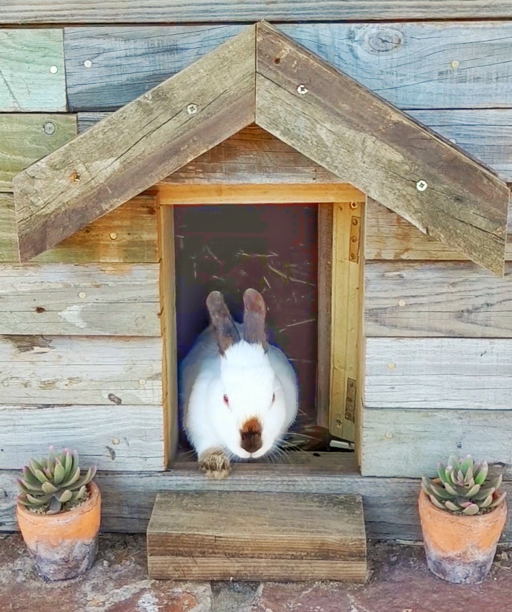 Imhoff Farm — photo 5