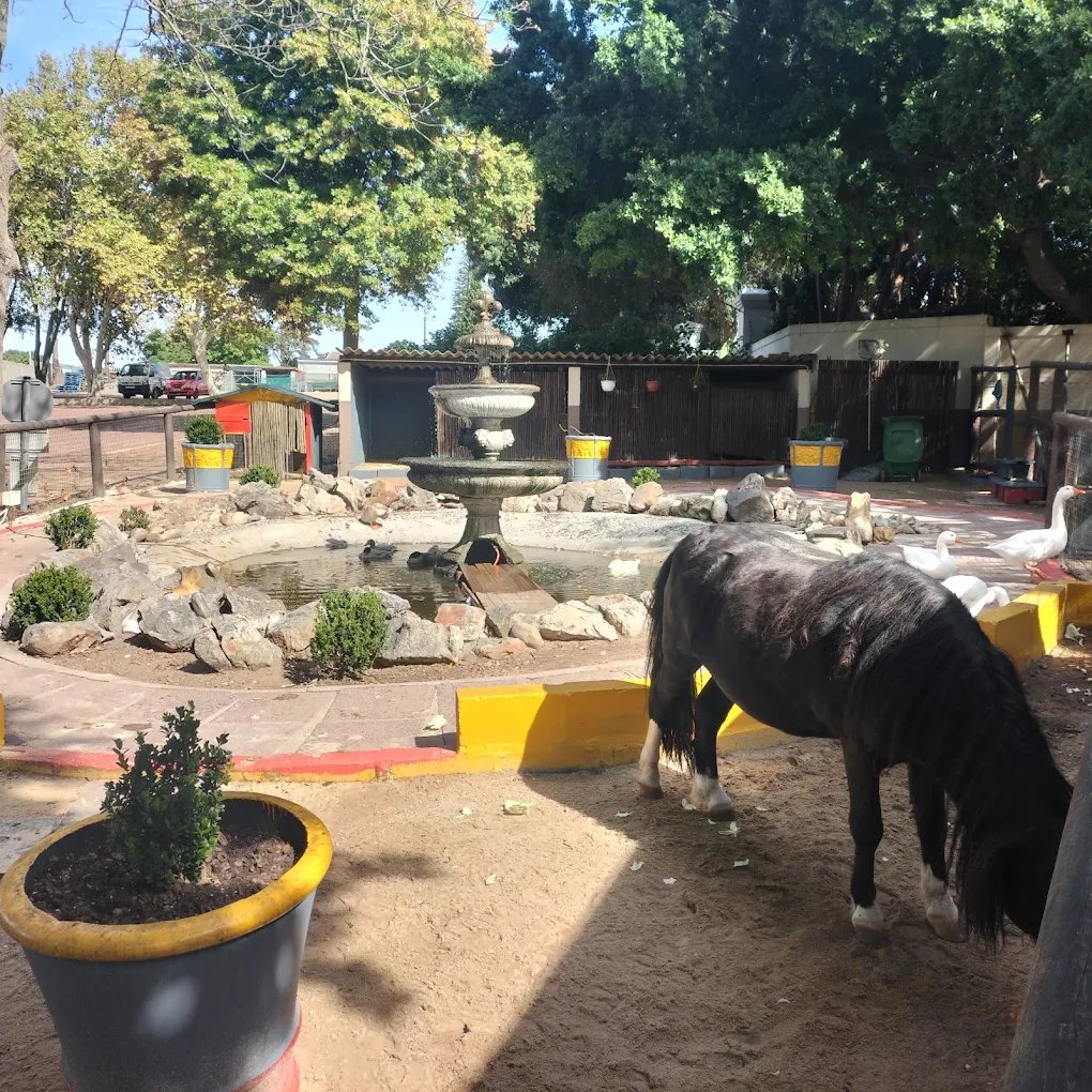 Stodels Garden Centre – Bellville — photo 4
