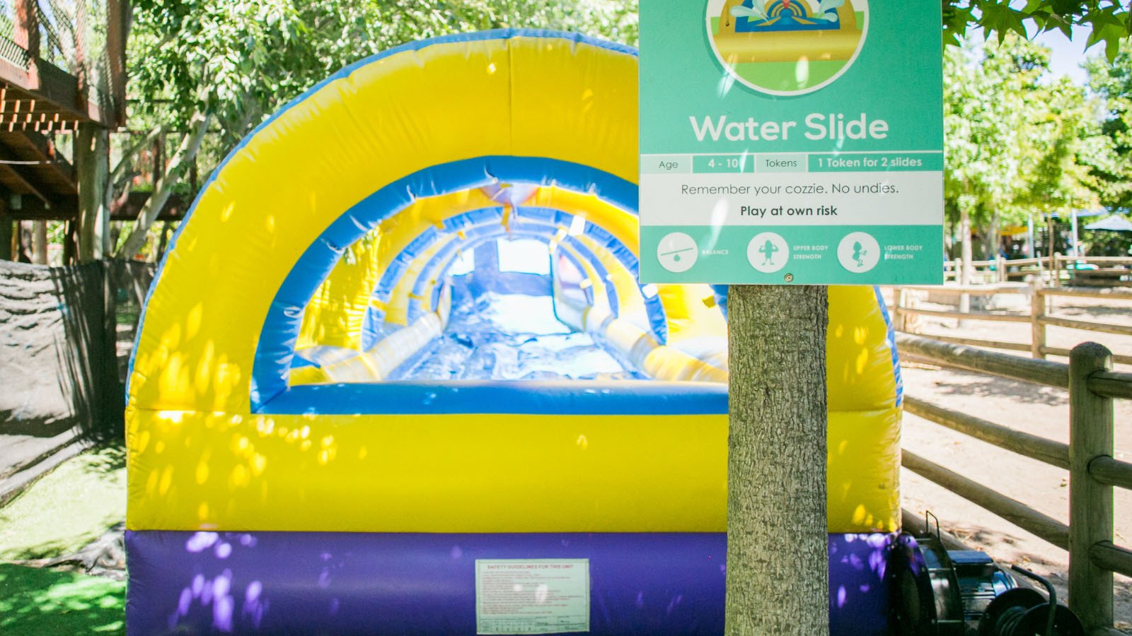 Bugz Family PlayPark — photo 4