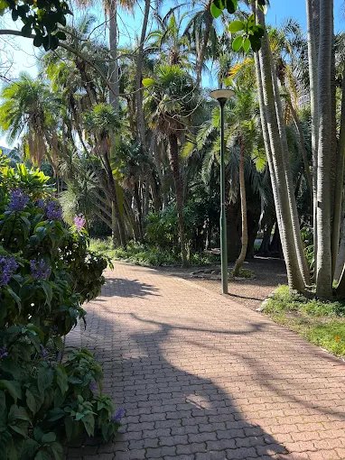 Company's Garden — photo 3