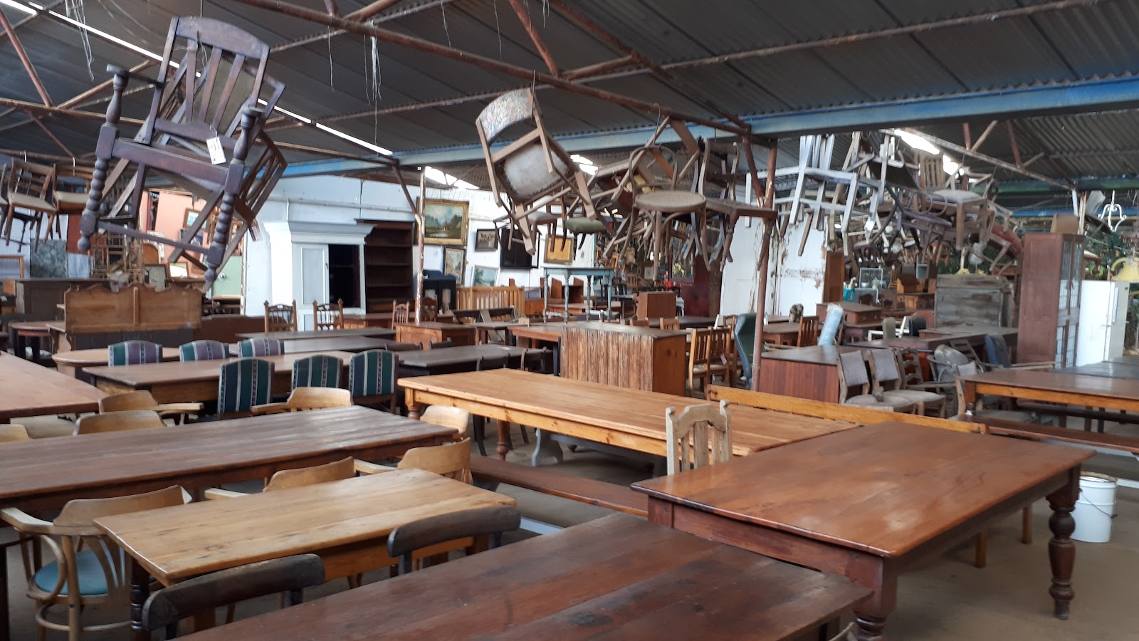 Garden World Nursery & Restaurant — photo 4