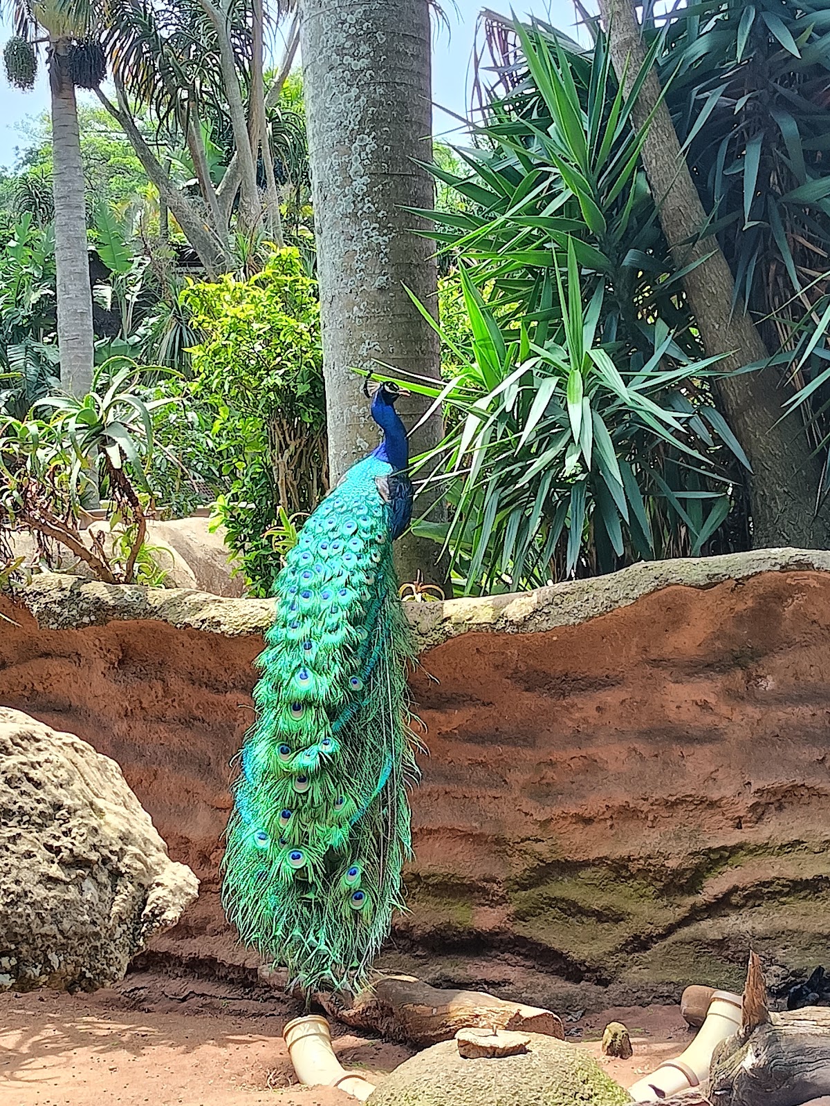 Mitchell Park Zoo & Gardens — photo 3