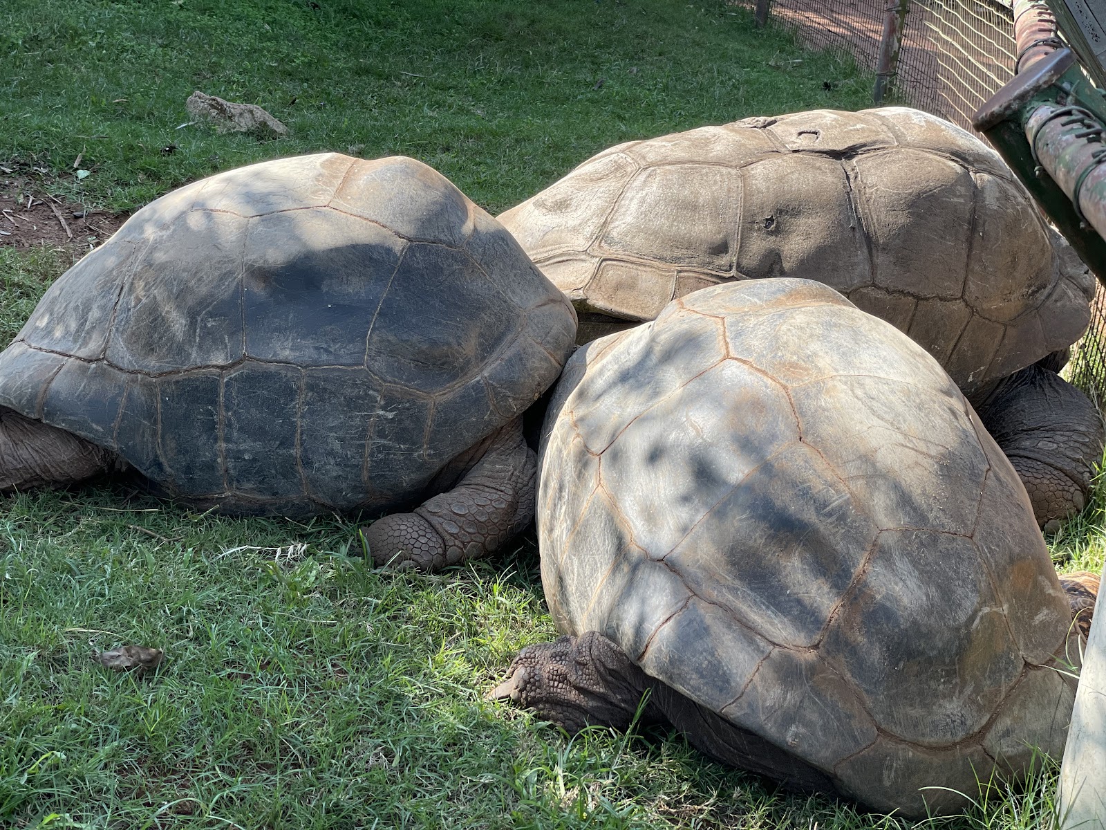 Mitchell Park Zoo & Gardens — photo 4