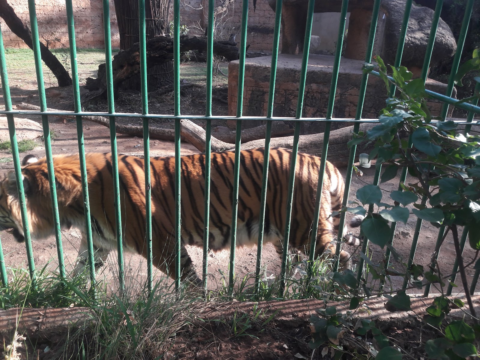 Hartbeespoort Snake & Animal Park — photo 2