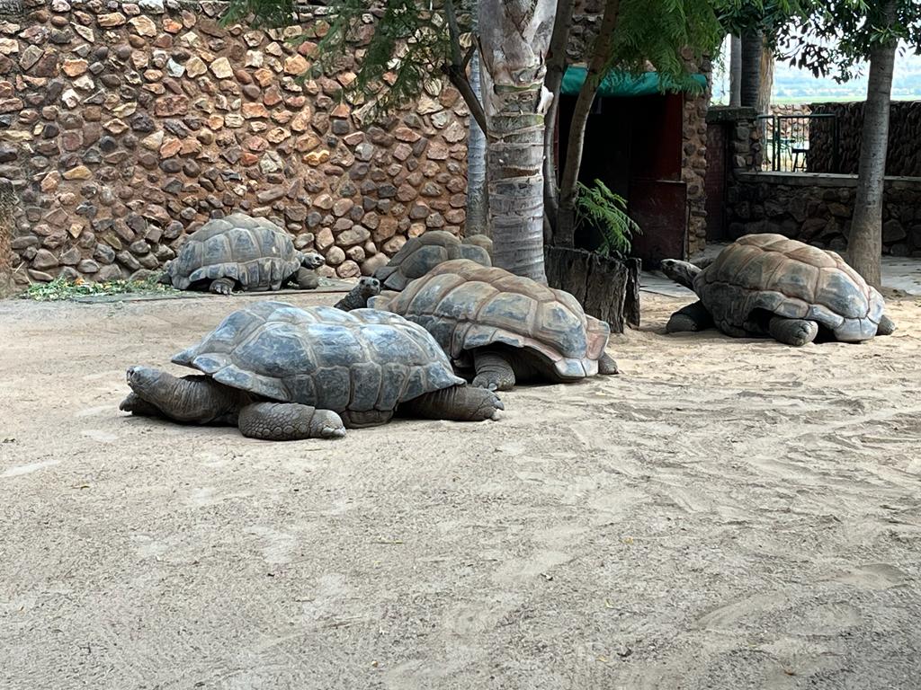 Hartbeespoort Snake & Animal Park — photo 3