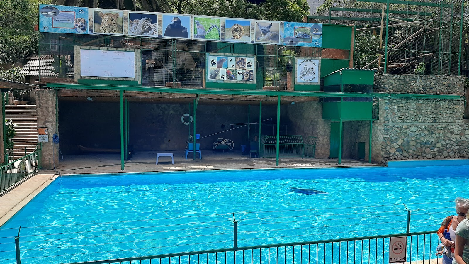 Hartbeespoort Snake & Animal Park — photo 4