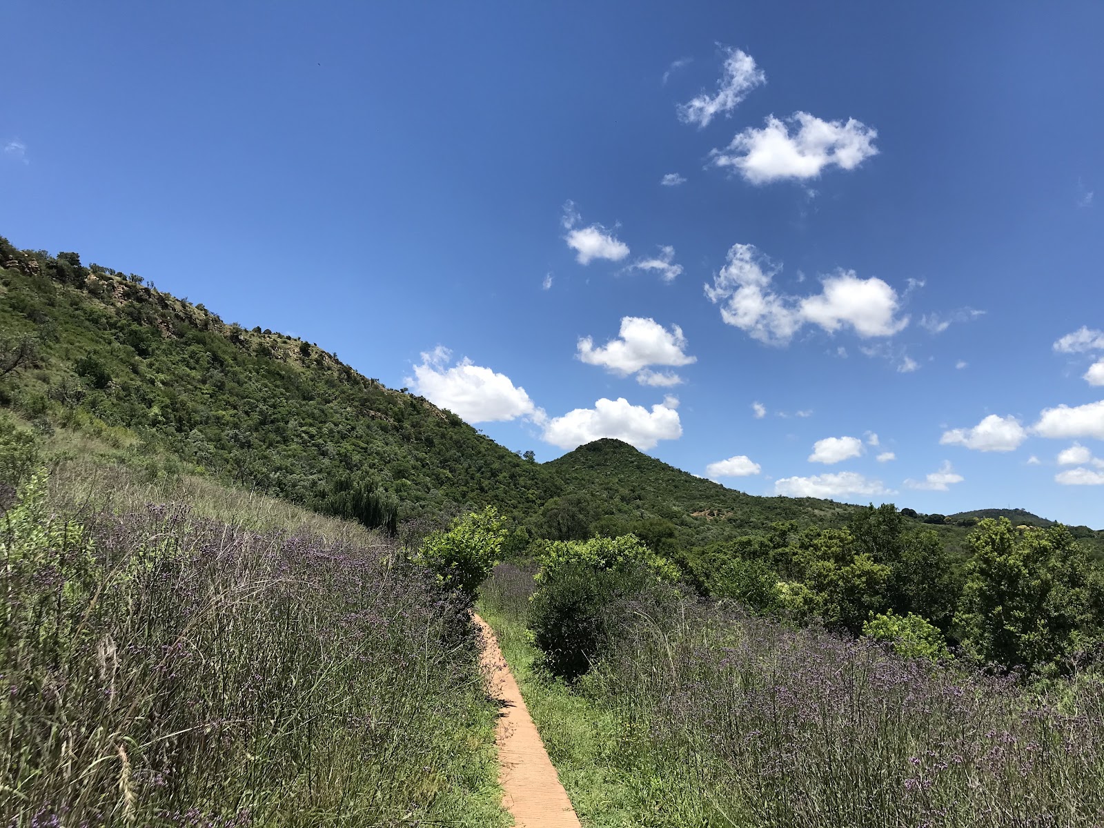 Faerie Glen Nature Reserve — photo 5