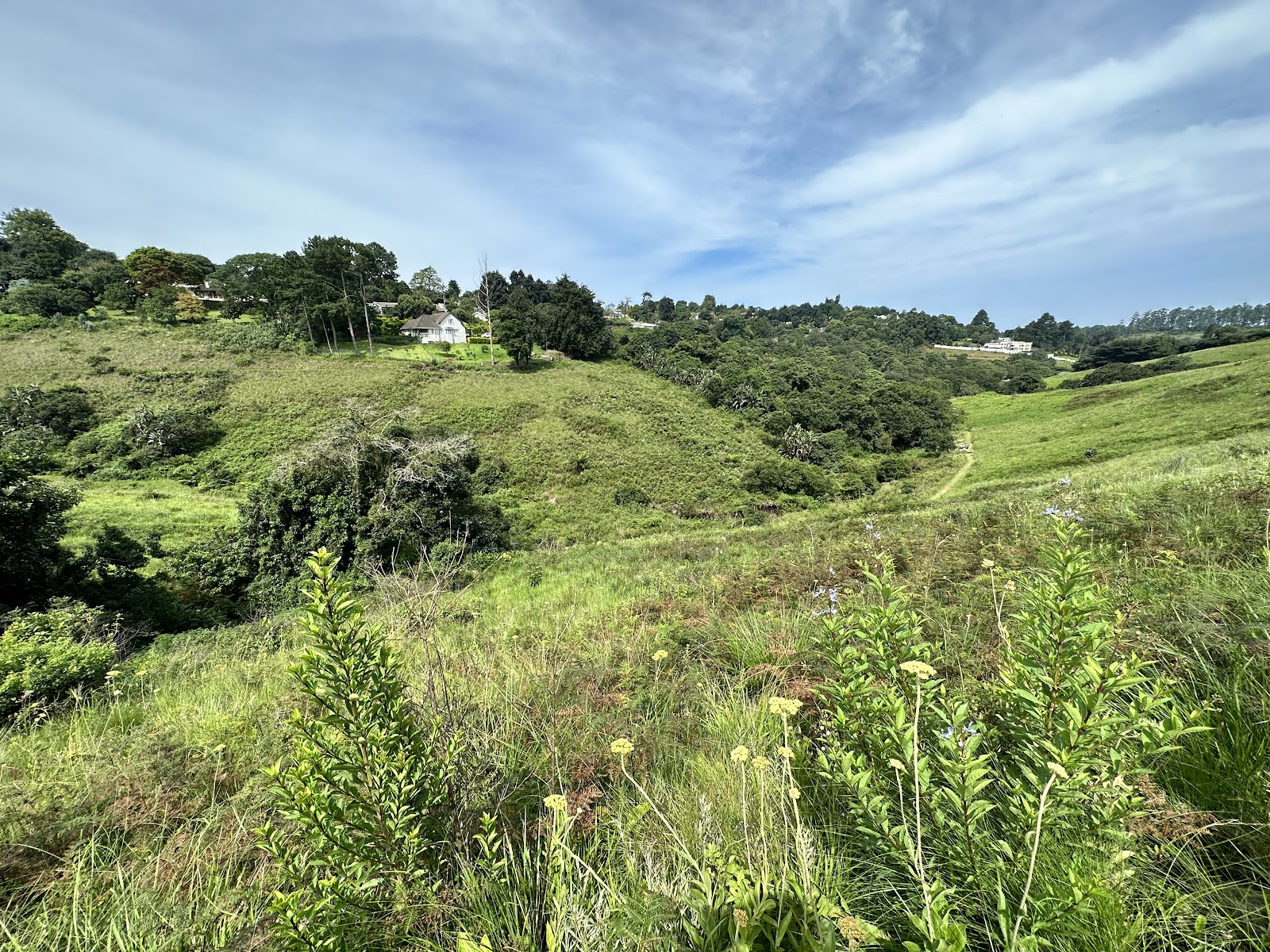 Springside Nature Reserve