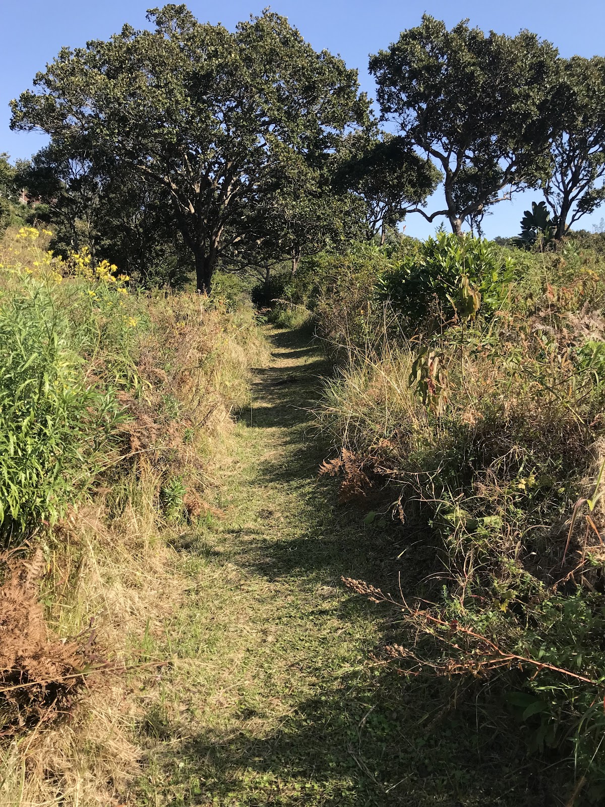 Springside Nature Reserve — photo 2