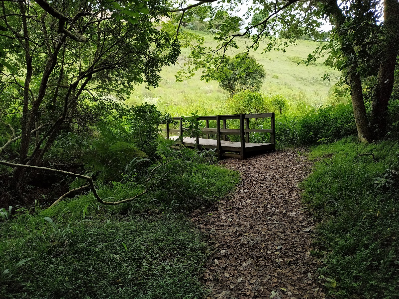 Springside Nature Reserve — photo 3