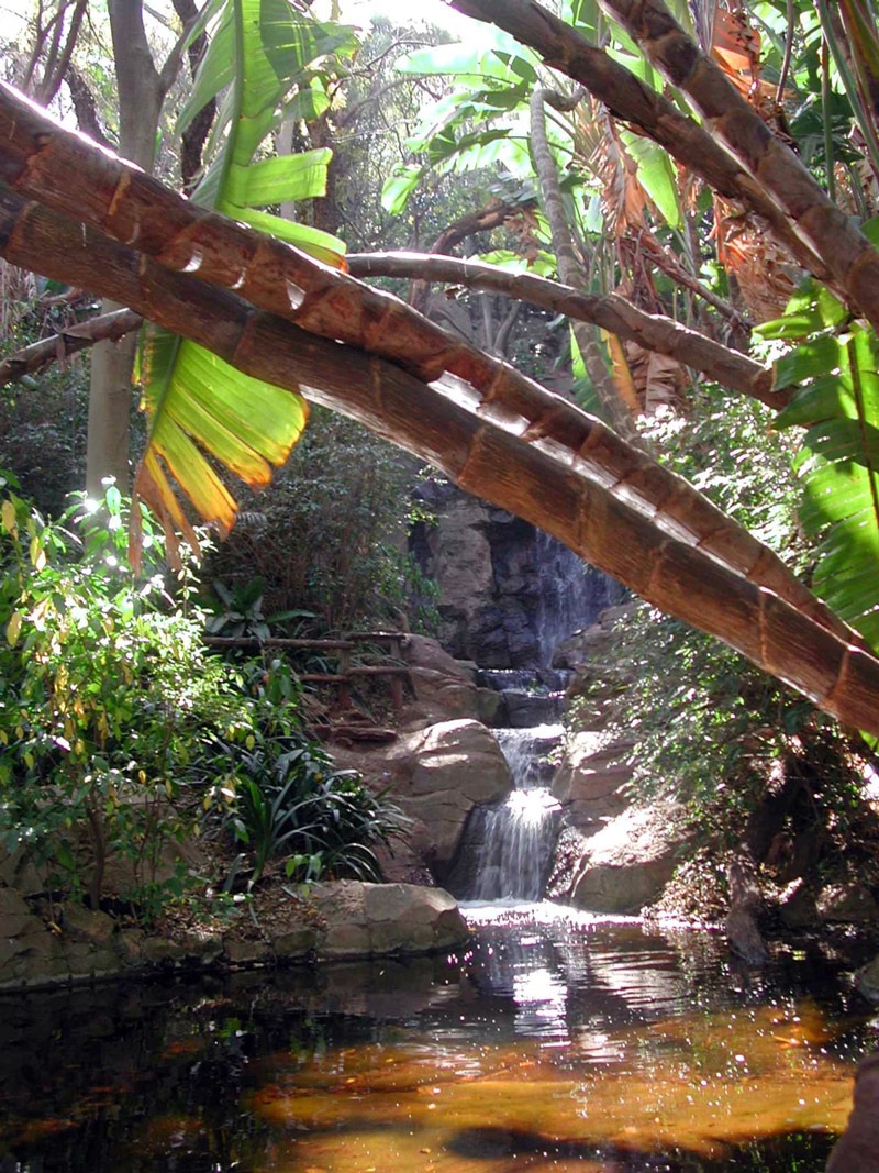 Pretoria National Botanical Garden — photo 2