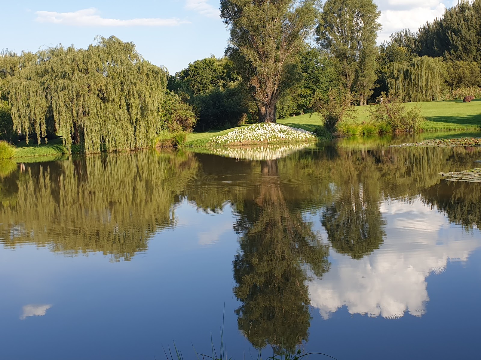Nirox Sculpture Park — photo 3
