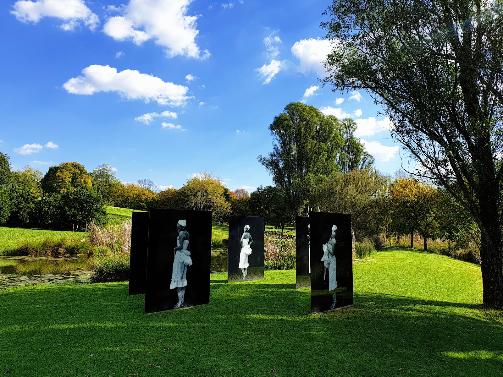 Nirox Sculpture Park — photo 4