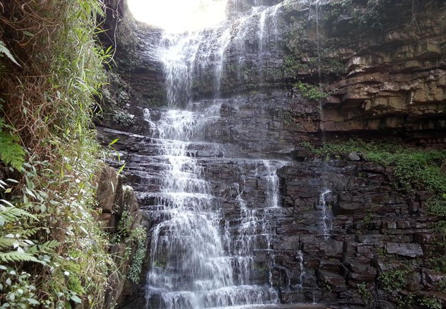 Pigeon Valley Nature Reserve — photo 4