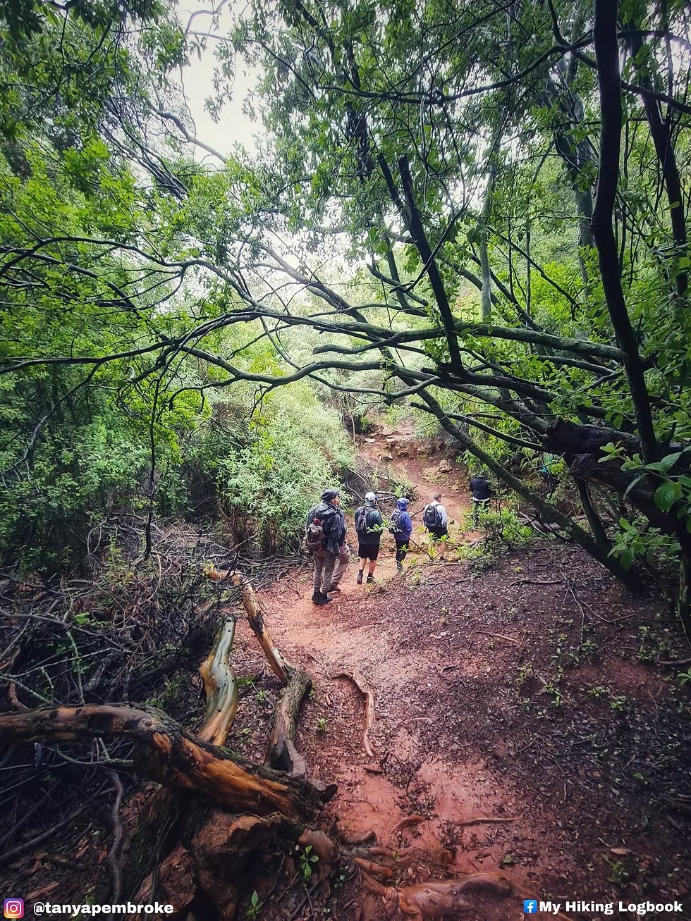 Kloofendal Nature Reserve — photo 3