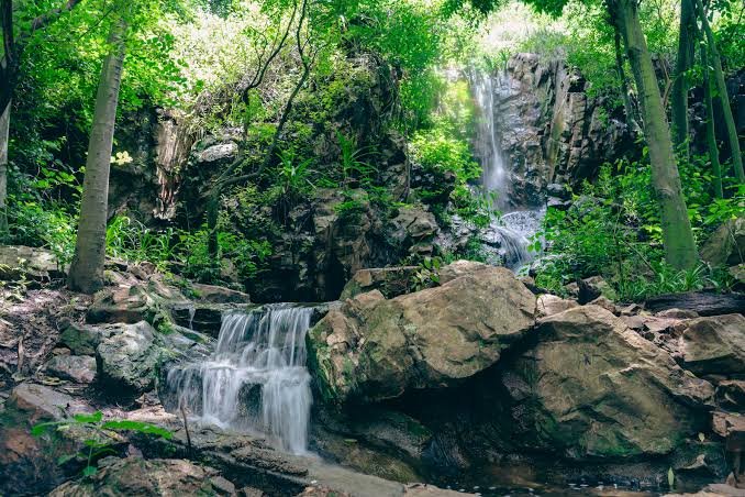 The Wilds Nature Reserve — photo 3