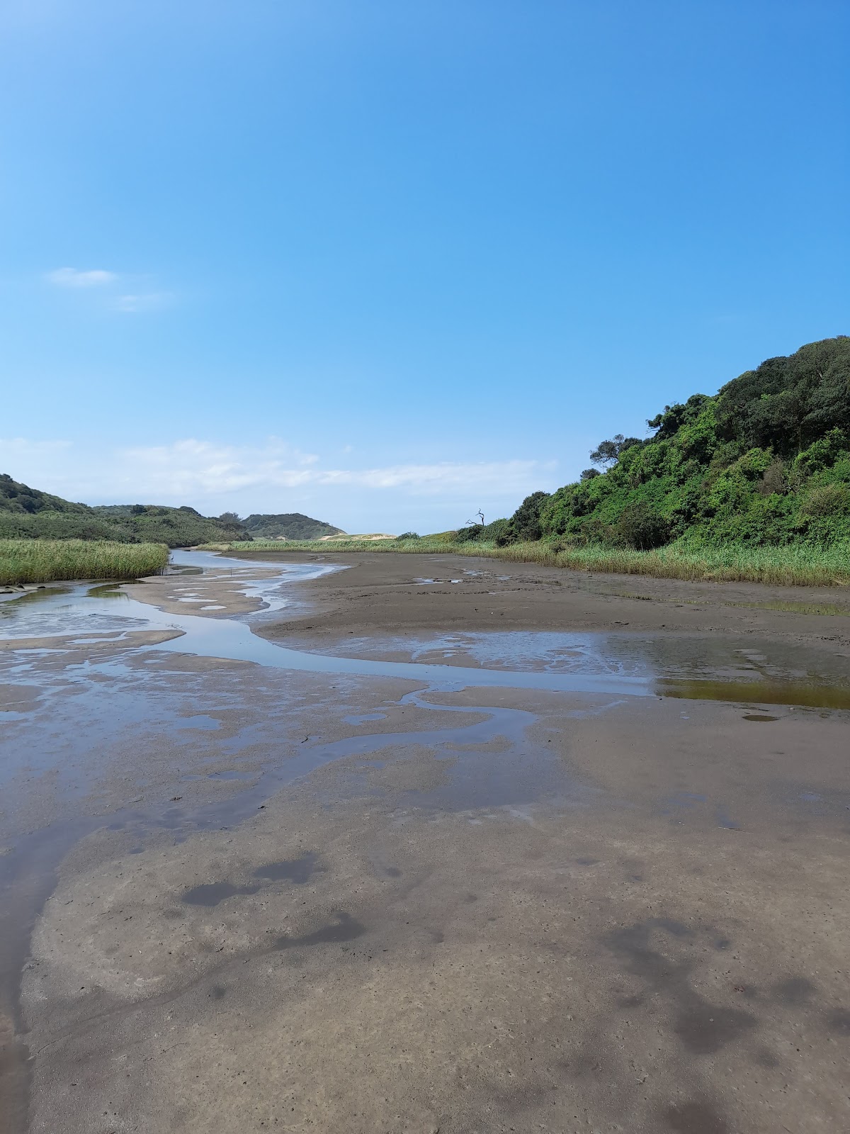 Umhlanga Lagoon Nature Reserve — photo 2