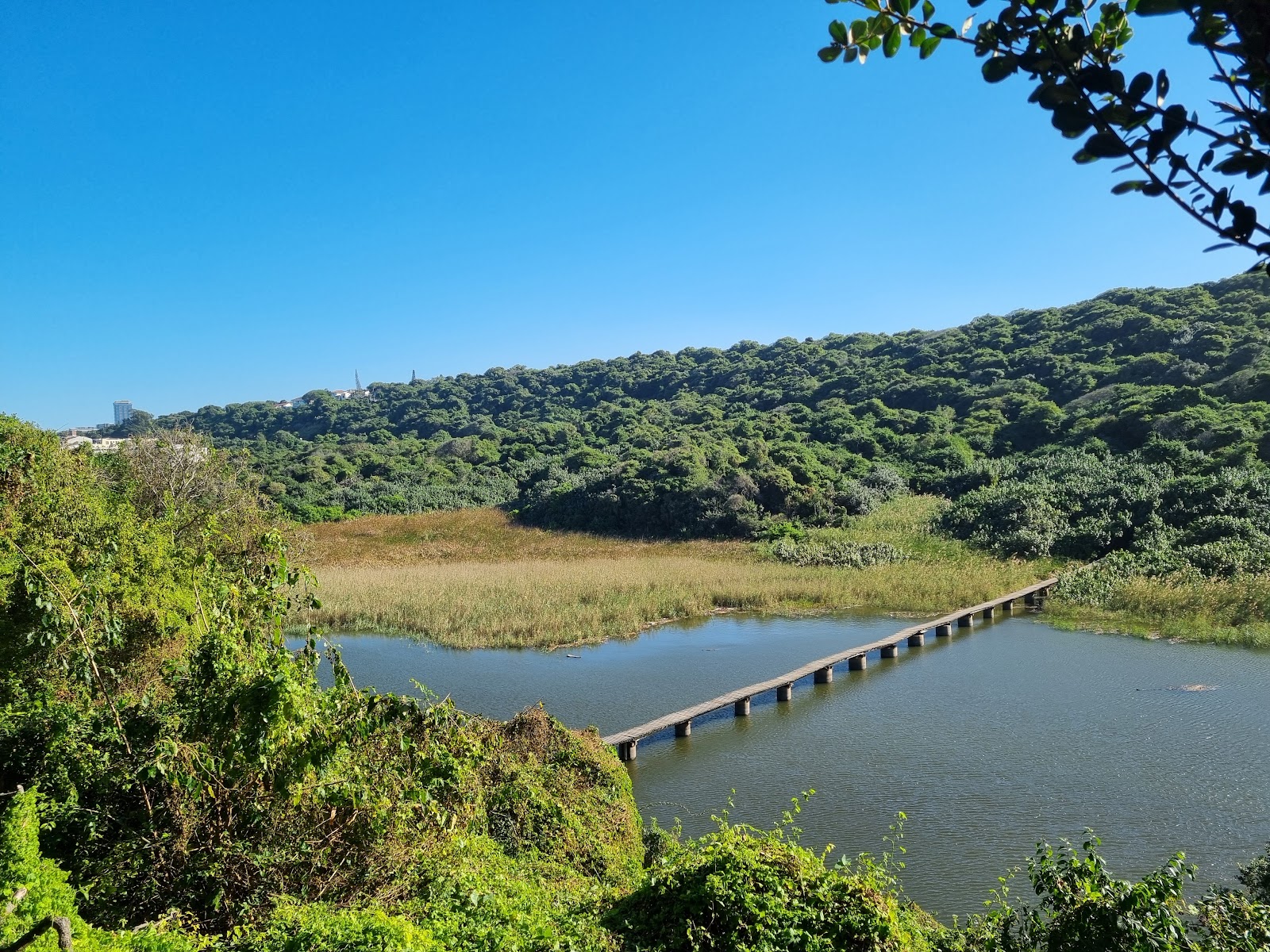 Umhlanga Lagoon Nature Reserve — photo 3