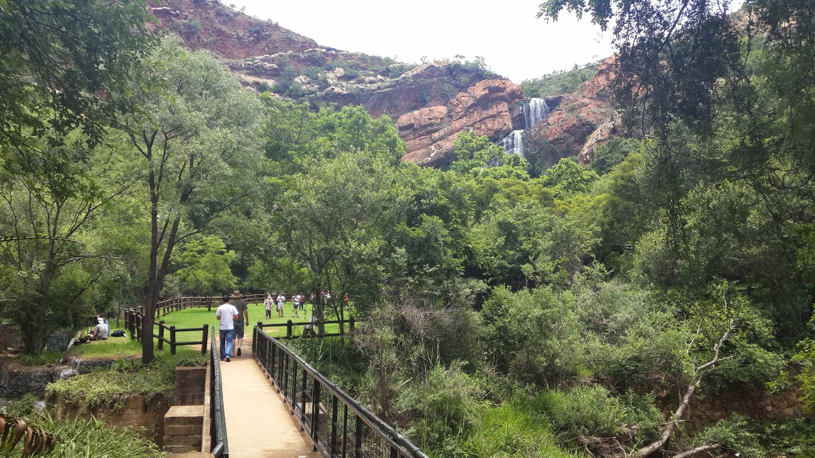 Walter Sisulu National Botanical Garden — photo 2