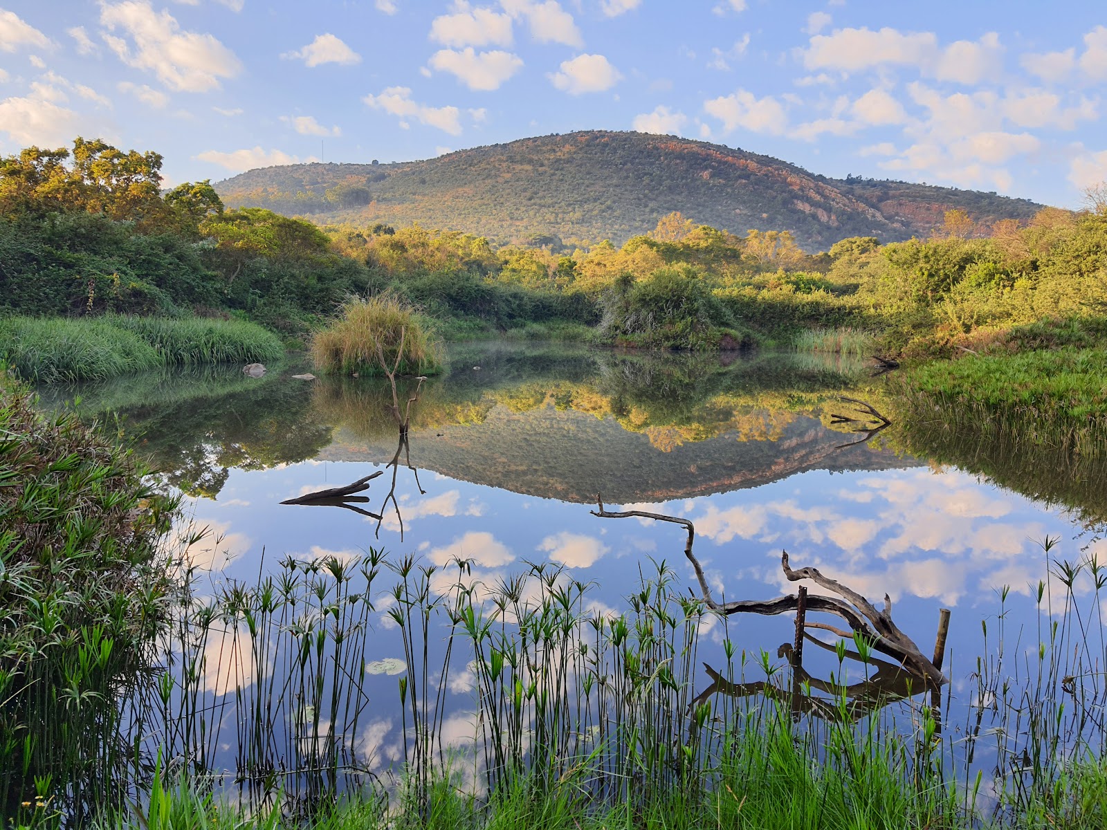 Walter Sisulu National Botanical Garden — photo 3