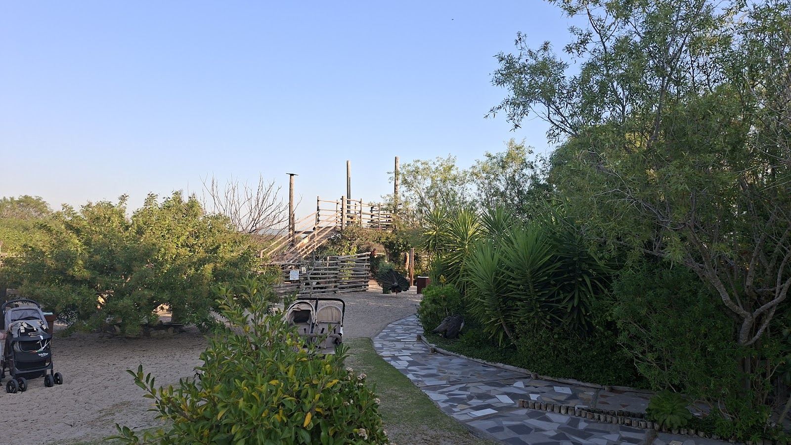 Melkbossie Farm — photo 3