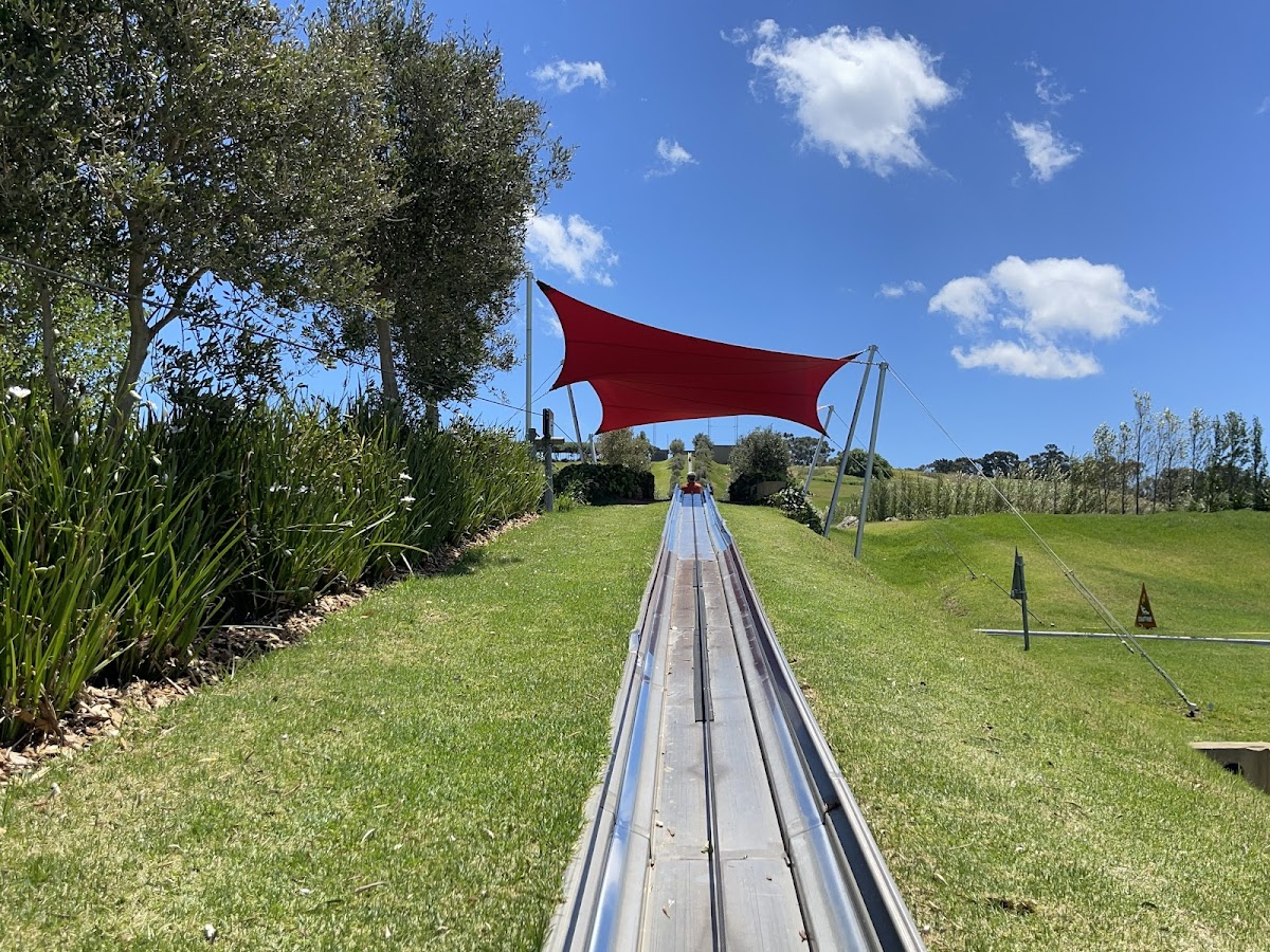 Cool Runnings Toboggan Park — photo 4