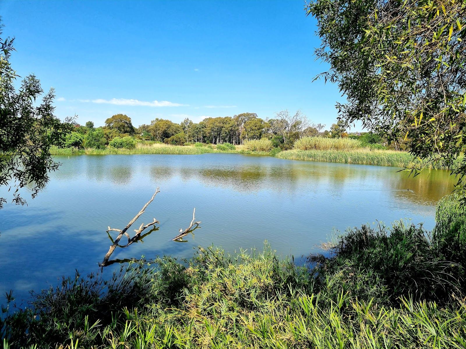 Florence Bloom Bird Sanctuary — photo 2