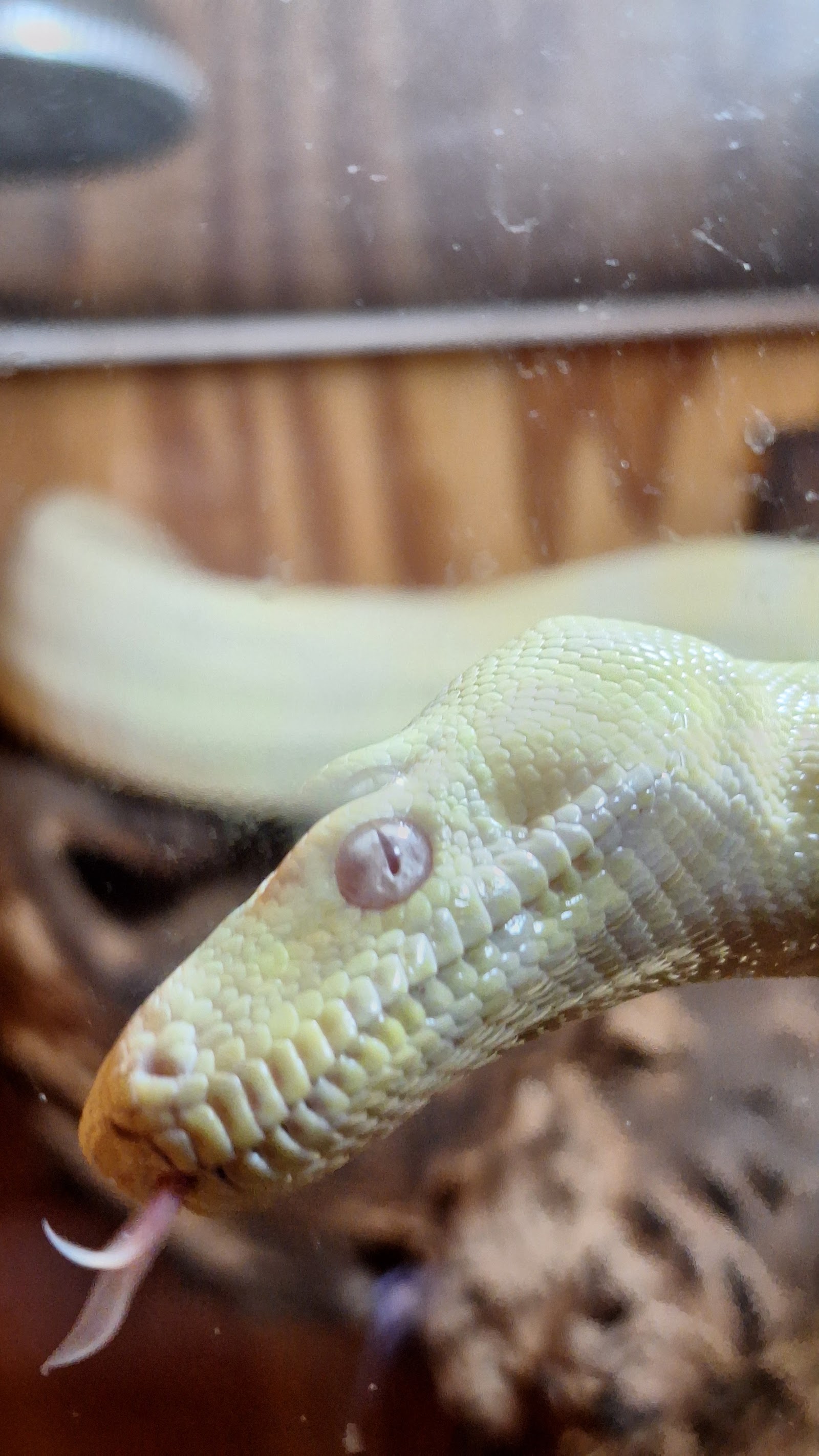 Reptile Garden — photo 3