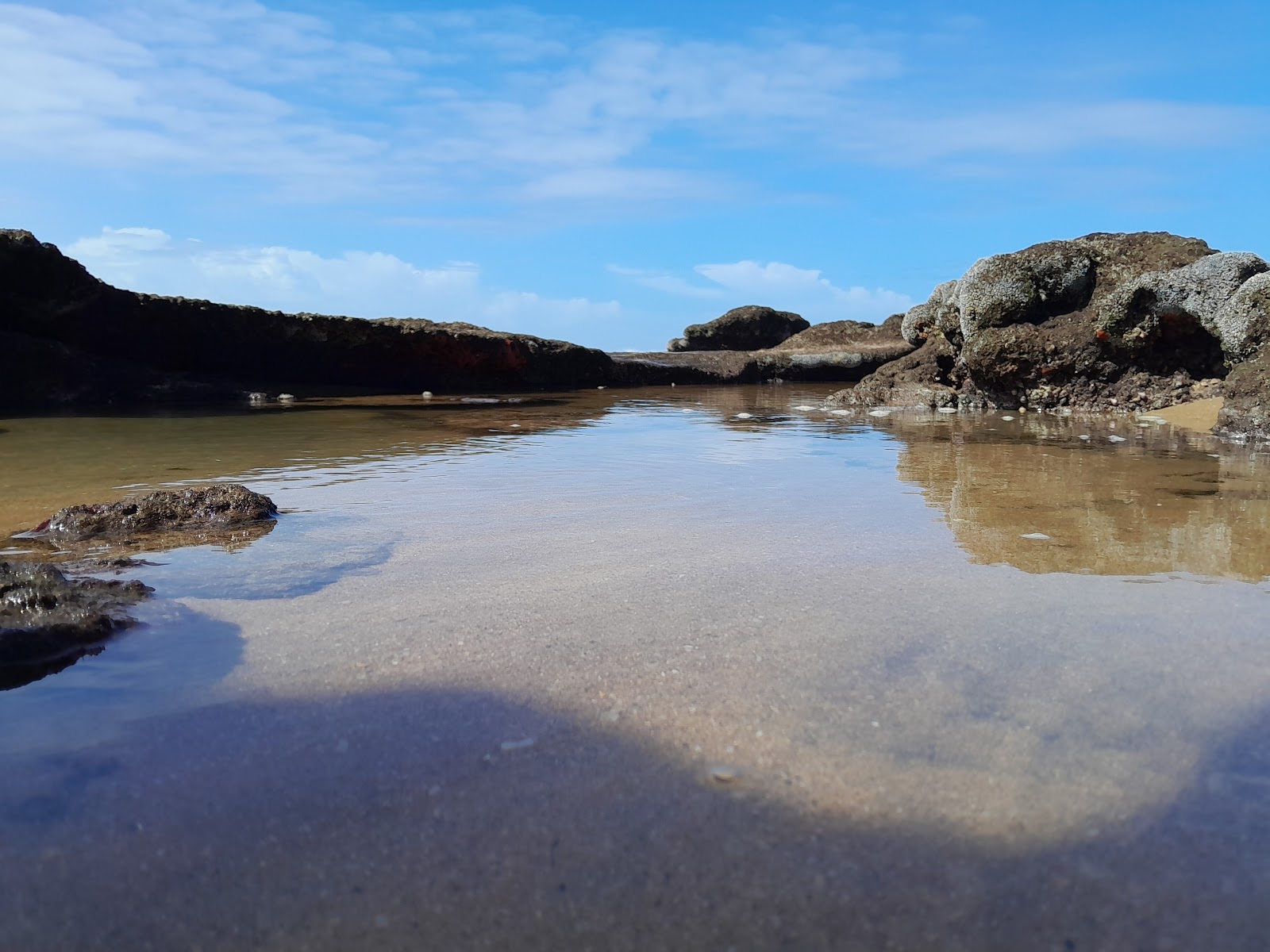 Treasure Beach Tidal Pool — photo 2