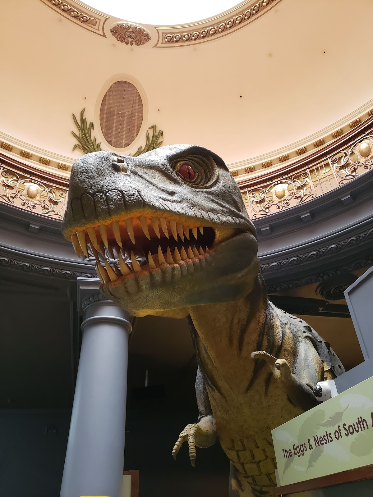 Durban Natural Science Museum — photo 2