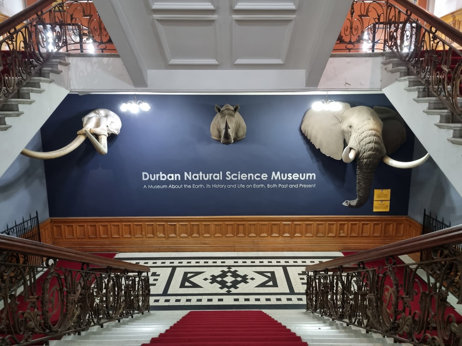 Durban Natural Science Museum — photo 3