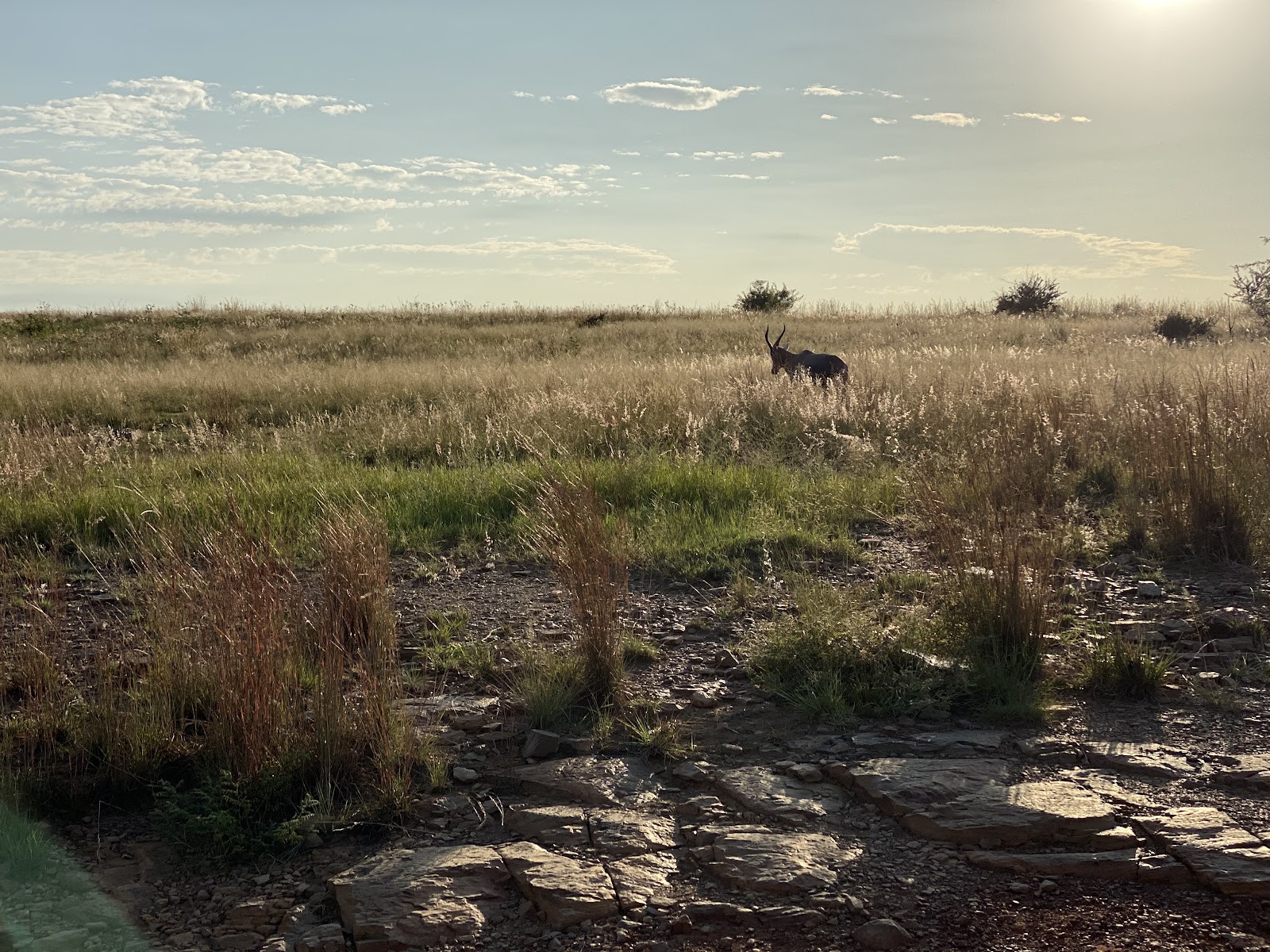 Rietvlei Nature Reserve — photo 2