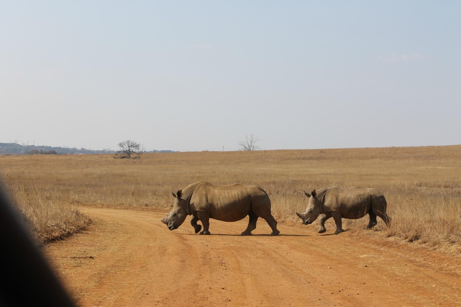 Rietvlei Nature Reserve — photo 4