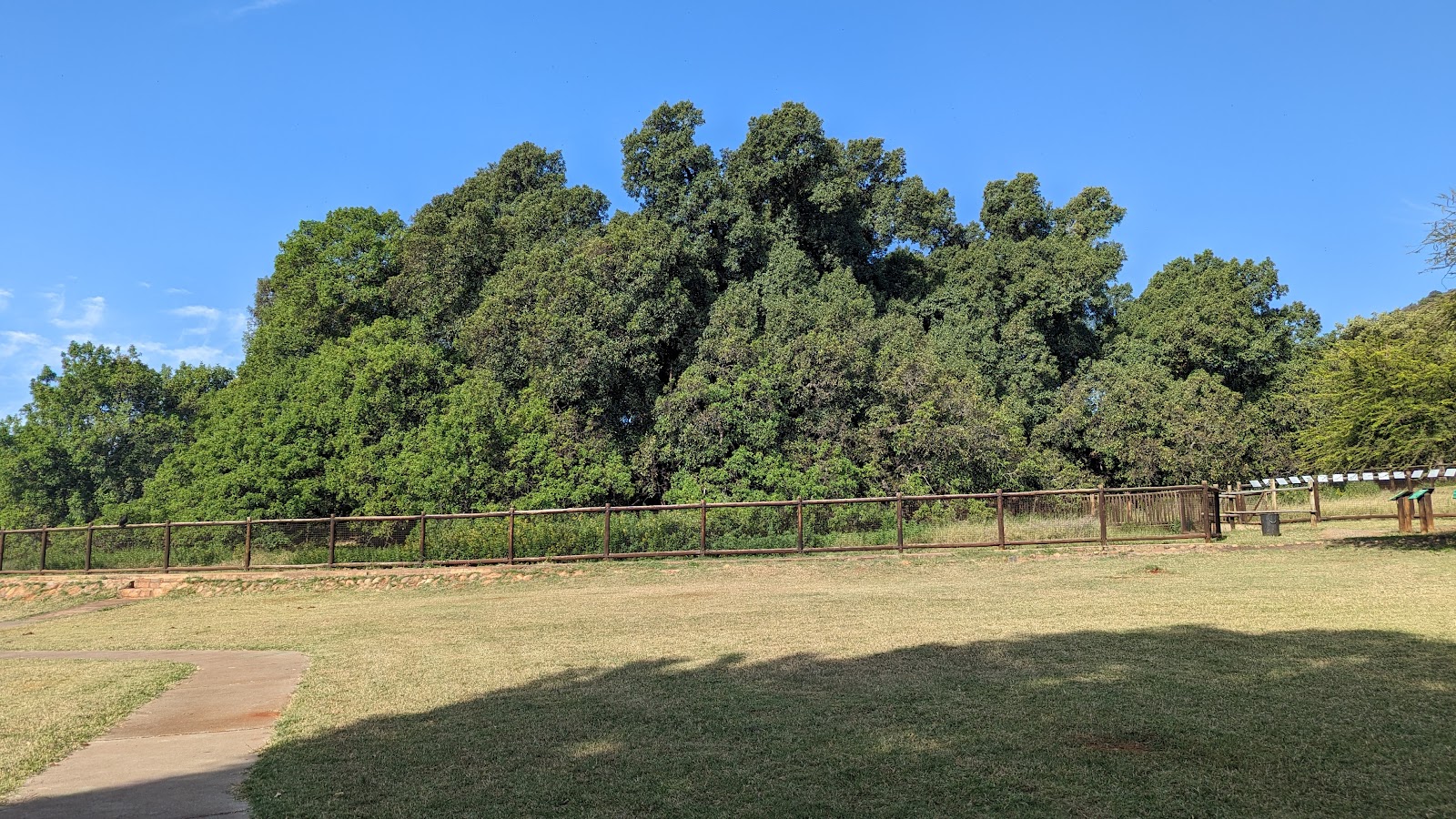 Wonderboom Nature Reserve & Fort — photo 2