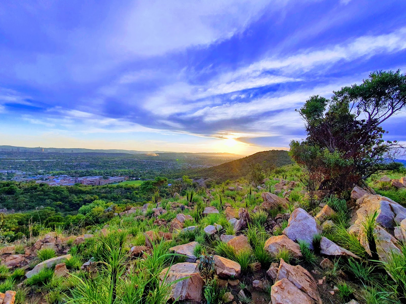Wonderboom Nature Reserve & Fort